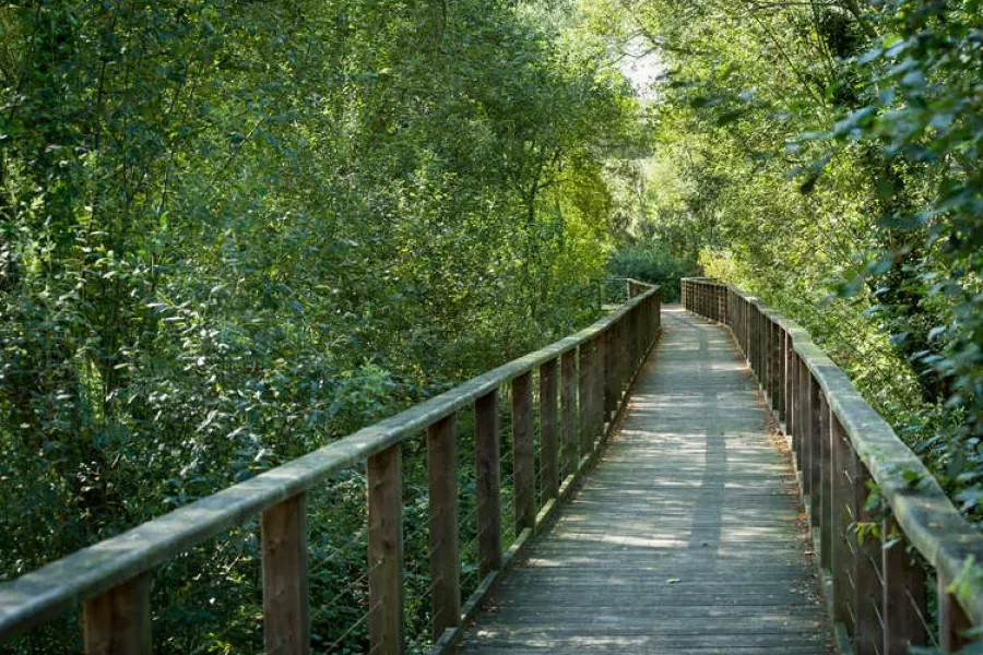 Photo de l'espace naturel du domaine de Careil 