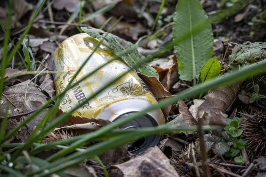 déchet en bord de route