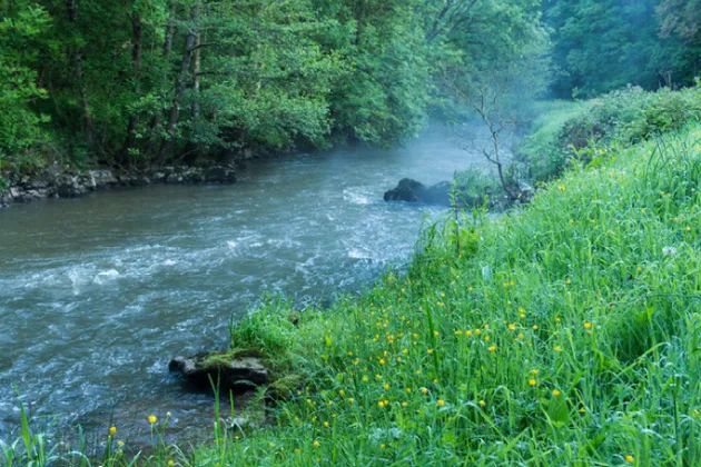 Photo de la vallée du Couesnon 