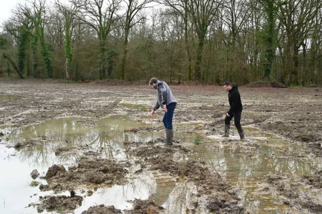 vue du marais de Vaux à Dingé