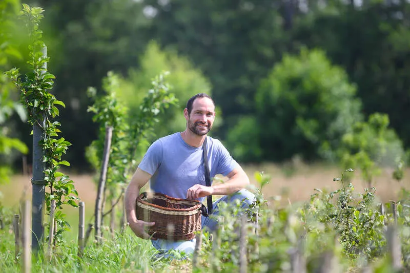 Bastien Lamarque au milieu de ses plants de théiers