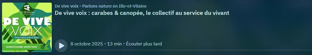 cliquez sur le visuel