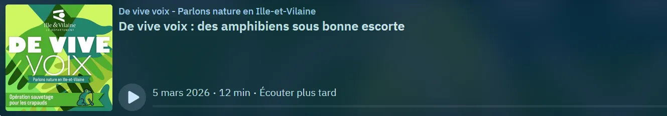 visuel podcast